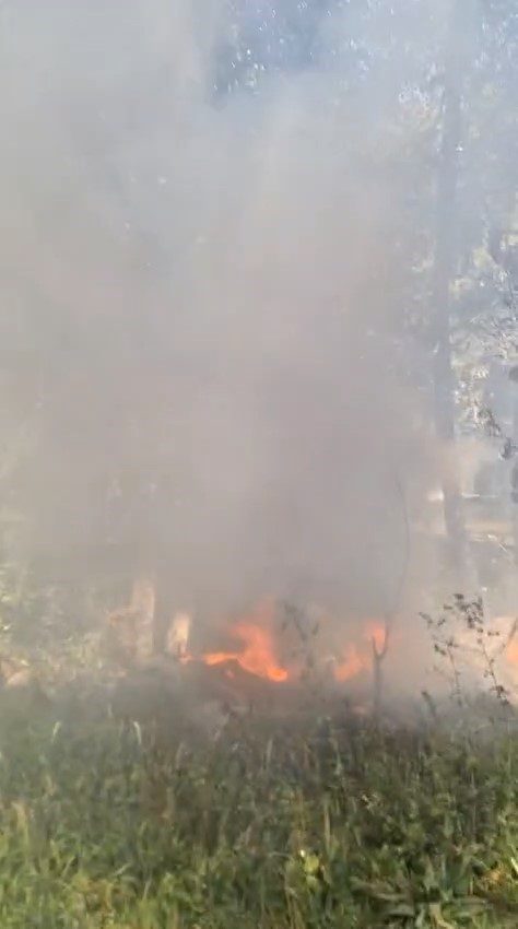 Bursa’nın Keles ilçesinde ormanlık alanda başlayan yangın, mahalle sakinlerinin dikkati
