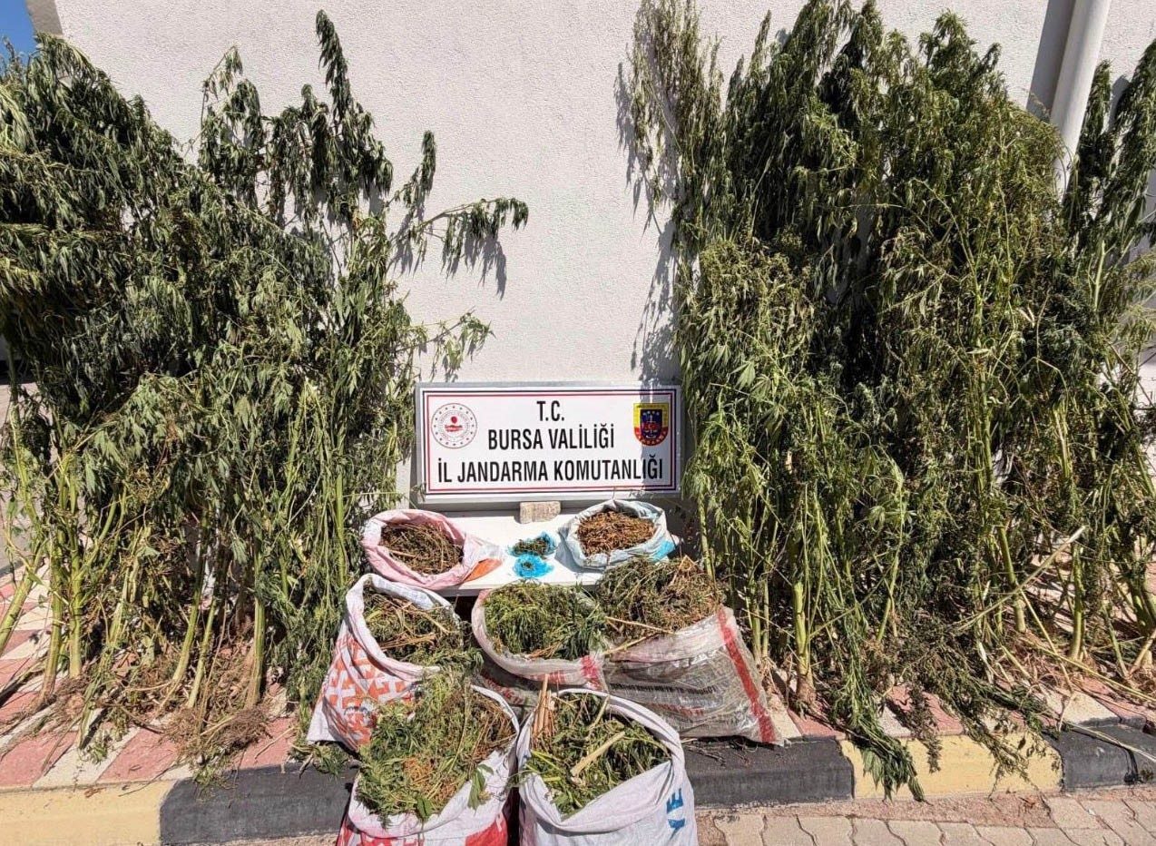 Bursa’nın Karacabey ilçesinde jandarma ekipleri tarafından düzenlenen uyuşturucu operasyonunda 22