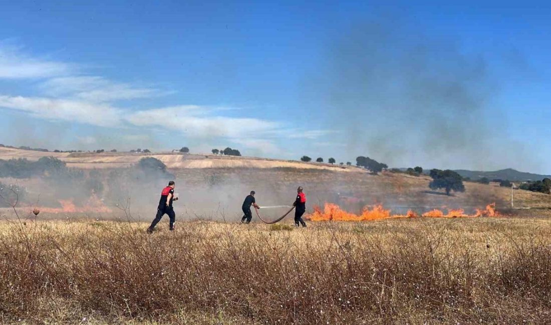 Çanakkale’de özel bakım merkezi yakınlarında çıkan ot yangını orman ve