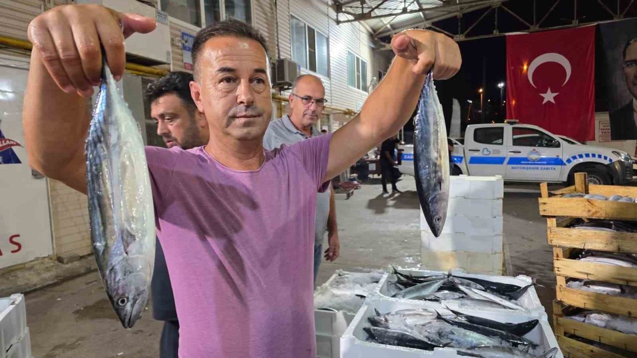 Denizlerde av yasağının sona ermesiyle birlikte balıkçılar 1 Eylül itibarıyla
