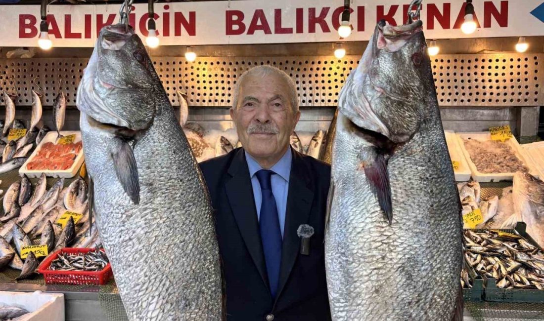 Av yasağının sona ermesiyle denizlerde balık bereketi yaşanmaya başladı. Türkiye