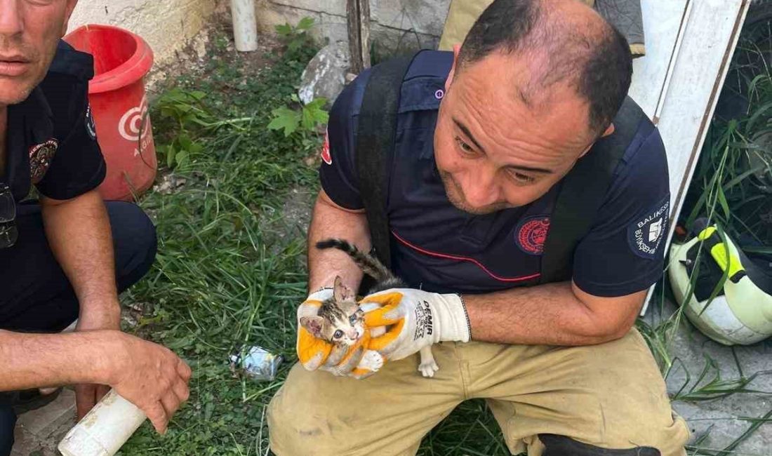 Balıkesir’in Erdek ilçesinde iki binanın duvarı arasına sıkışan yavru kedi,