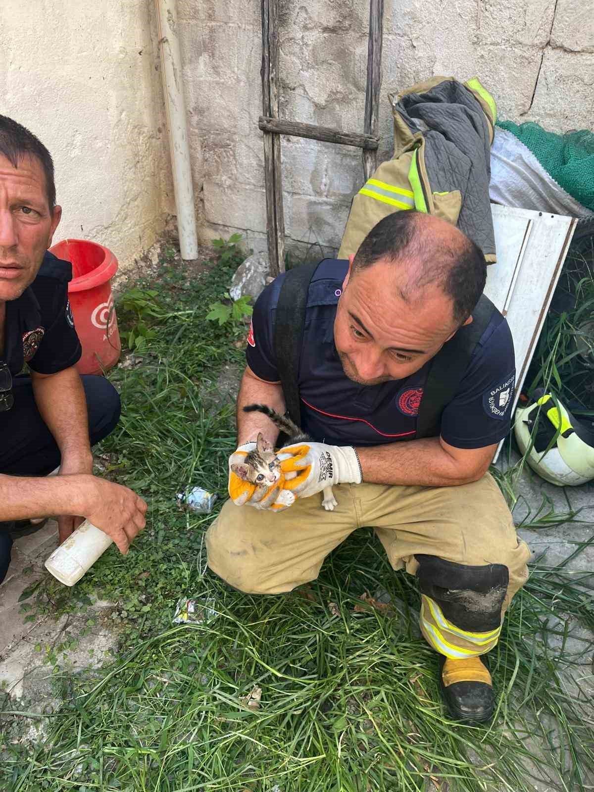 Balıkesir’in Erdek ilçesinde iki binanın duvarı arasına sıkışan yavru kedi,