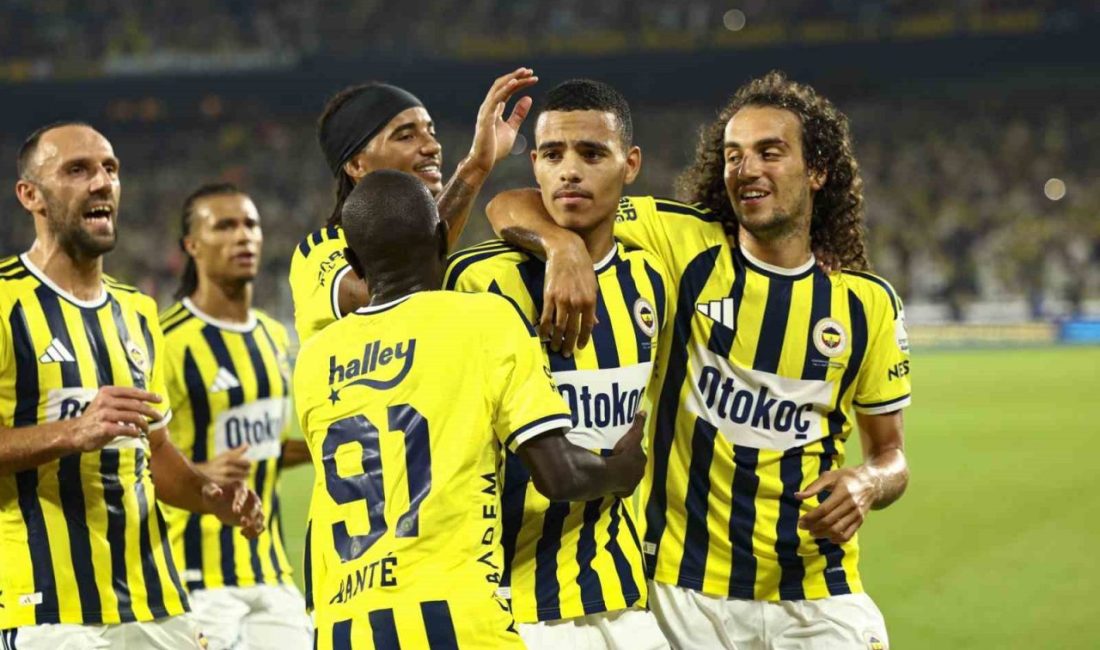 Fenerbahçe’nin bu transfer döneminde kadrosuna kattığı 4 yeni futbolcu, görev