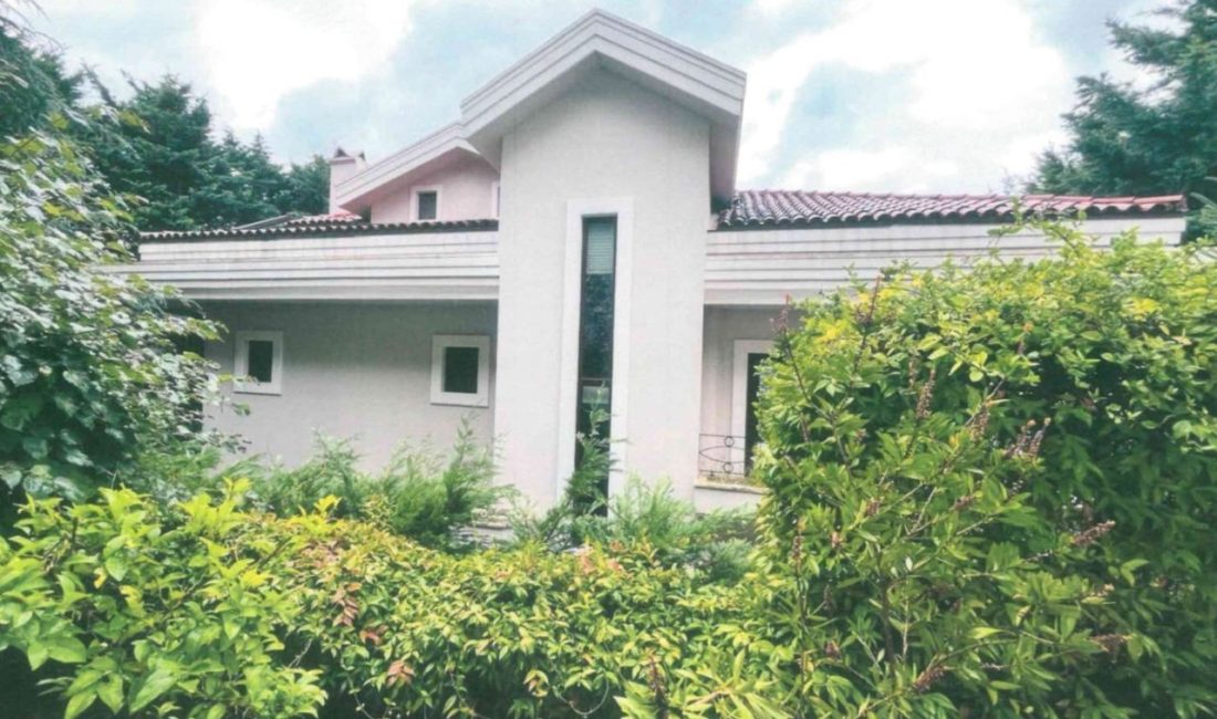 İstanbul Cumhuriyet Başsavcılığınca yürütülen sermaye piyasası ve suçtan kaynaklanan malvarlığı