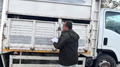 Sakarya’nın Sapanca ilçesinde jandarma ekiplerince durdurulan kamyonette 11 küçükbaş hayvanın