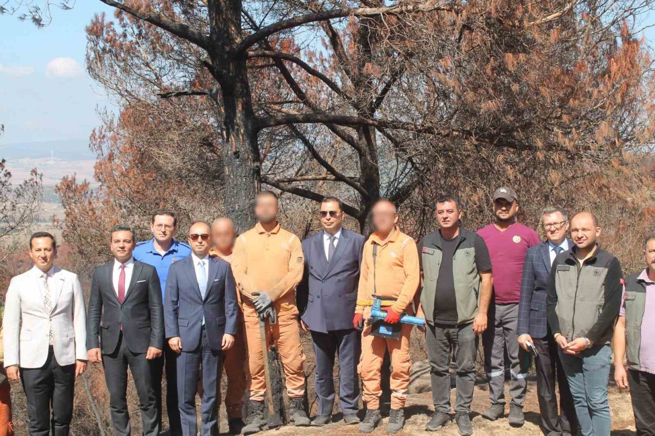 Balıkesir’in Bandırma, Gönen, Manyas, Susurluk ve Erdek ilçelerinde, ormanların korunması,