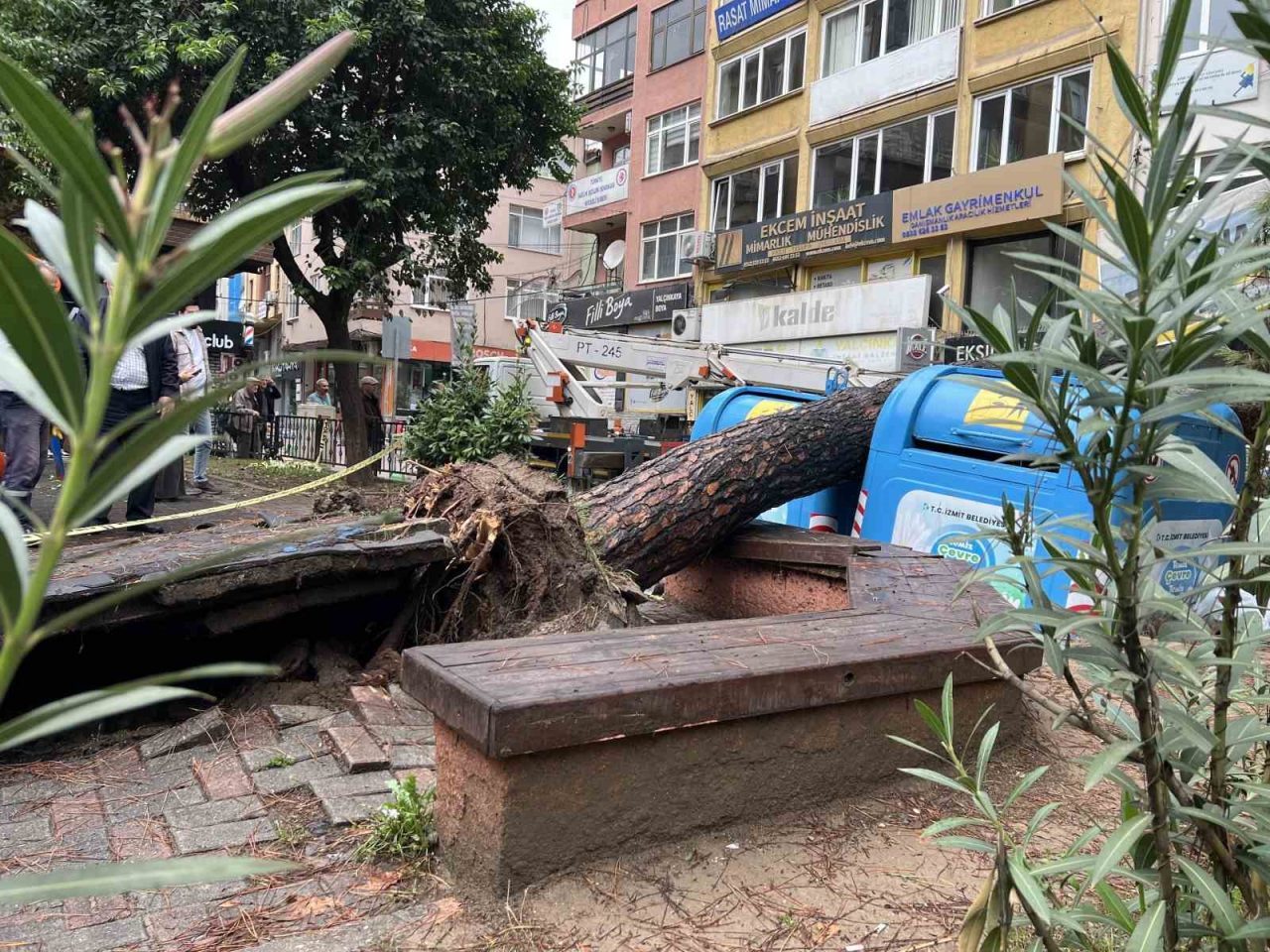 Kocaeli’nin İzmit ilçesinde sabah saatlerinde devrilen ağaç, sokağın bir bölümünü
