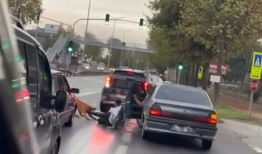 Sakarya’nın Adapazarı ilçesinde zinciri kopuk köpek, yolda yürüyen vatandaşa saldırdı.