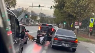 Sakarya’nın Adapazarı ilçesinde zinciri kopuk köpek, yolda yürüyen vatandaşa saldırdı.