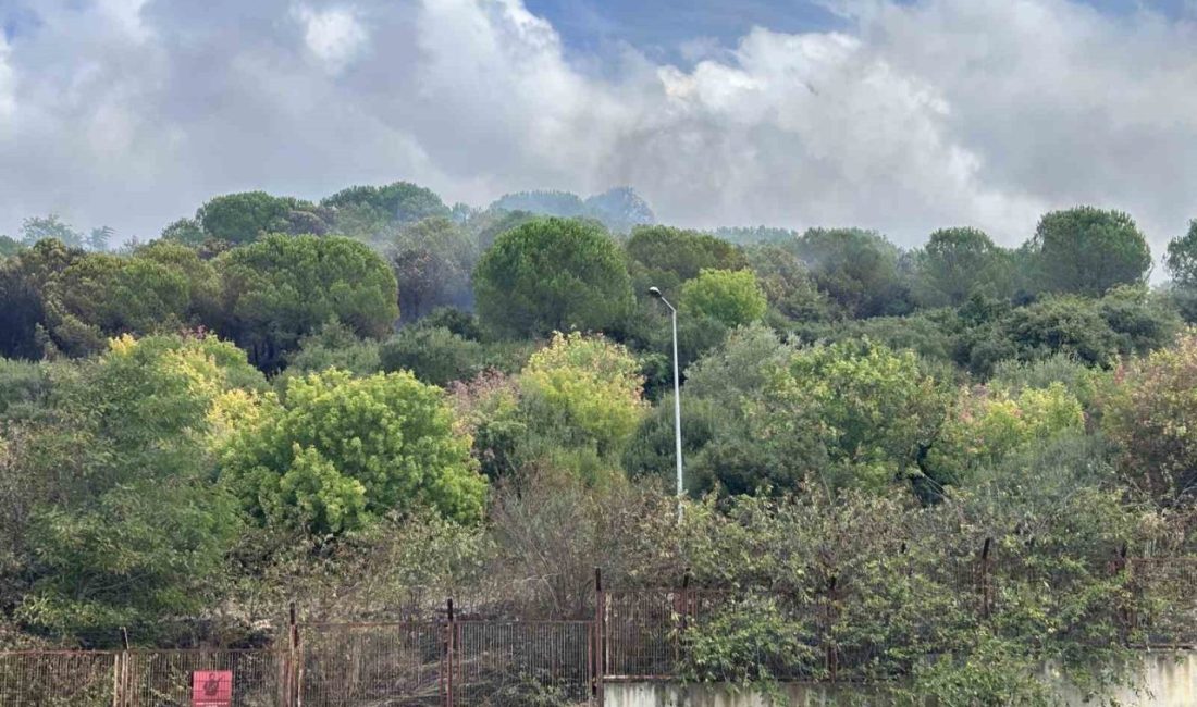 Maltepe’de yol kenarında çıkan yangın Kenan Evren Kışlası’ndaki ormanlık alana
