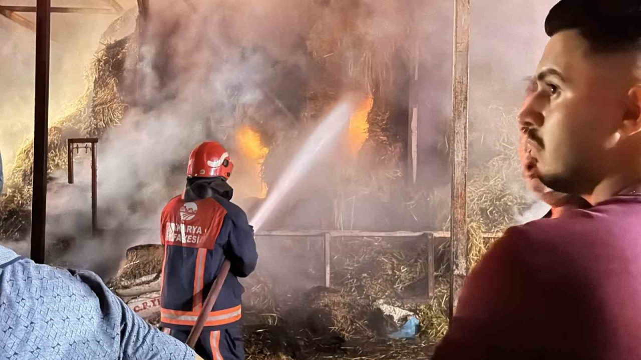 Sakarya’nın Adapazarı ilçesinde samanlıkta çıkan yangında binlerce saman balyası kül