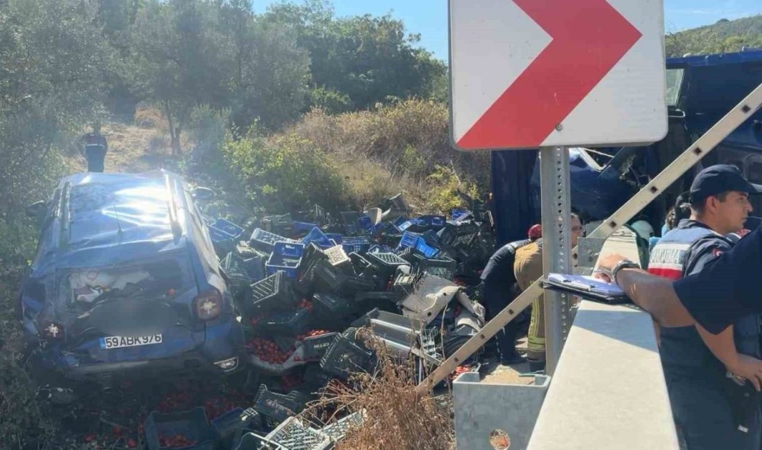 Bursa’nın İznik ilçesinde virajı alamayan kamyon, yol kenarında park halinde