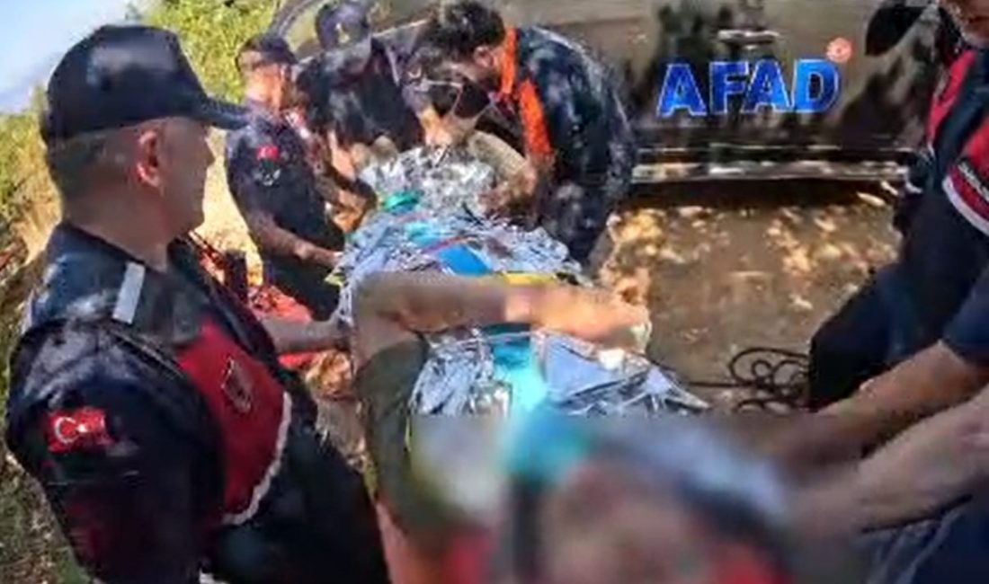 Yalova’nın Çınarcık ilçesinde ormanlık alanda yürüyüş yaptığı sırada yaklaşık 7