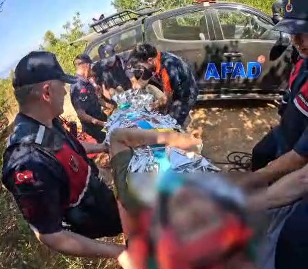 Yalova’nın Çınarcık ilçesinde ormanlık alanda yürüyüş yaptığı sırada yaklaşık 7