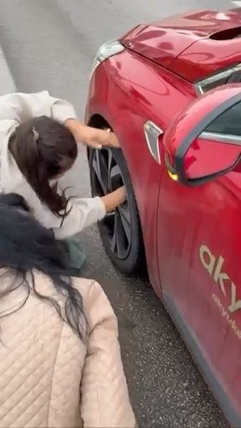 Bursa’da bir anda ana artere çıkan yavru kedi, sürücülerin yavaşlaması